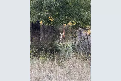 213 Pr 1743B, Clifton, TX 76634 - Photo 19