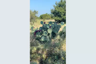 213 Pr 1743B, Clifton, TX 76634 - Photo 13