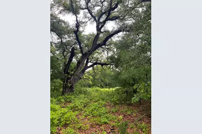 213 Pr 1743B, Clifton, TX 76634 - Photo 3