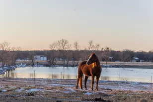 189 Nautilus Ct, Decatur, TX 76234 - Photo 1