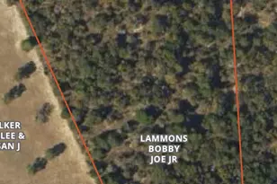 12564 Private Rd 5104, Athens, TX 75751 - Photo 1