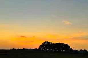 2014 Co Rd 123, Gainesville, TX 76240 - Photo 35