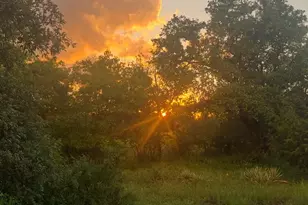 142 Mulligan Ln, Azle, TX 76020 - Photo 1