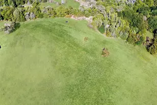 2635 Private Rd 1167, Farmersville, TX 75442 - Photo 1