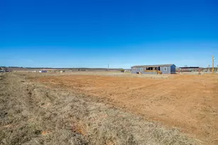 41 Kenzi Dr, Mineral Wells, TX 76067 - Photo 11