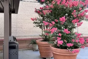 1505 Elm St, Dallas, TX 75201 - Photo 25