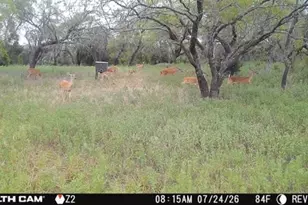 6164 Co Rd 264, Dublin, TX 76446 - Photo 35