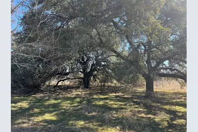 6164 County Road 264, Dublin, TX 76446 - Photo 9