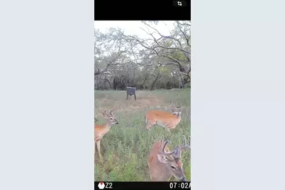 6164 County Road 264, Dublin, TX 76446 - Photo 39