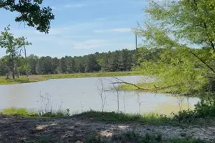 720 Haggerty Rd, Karnack, TX 75661 - Photo 7