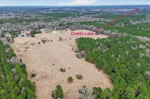 720 Haggerty Rd, Karnack, TX 75661 - Photo 39