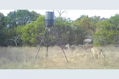 Tbd Farm To Market  933, Whitney, TX 76692 - Photo 13