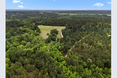 21360 County Road 294, Arp, TX 75750 - Photo 5