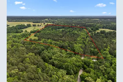 21360 County Road 294, Arp, TX 75750 - Photo 3