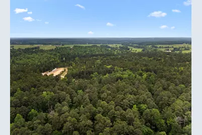 21360 County Road 294, Arp, TX 75750 - Photo 15