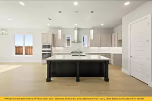 317 Fire Blade Dr, Aledo, TX 76008 - Photo 17