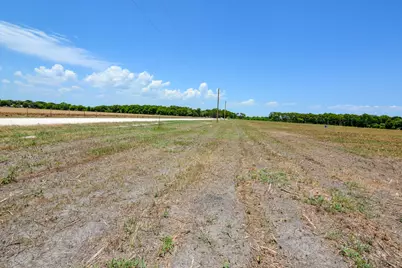 9117 County Road 101A, Grandview, TX 76050 - Photo 5
