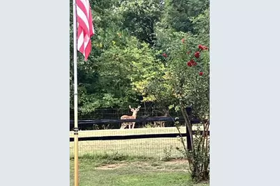 5650 Point Lavista, Malakoff, TX 75148 - Photo 3