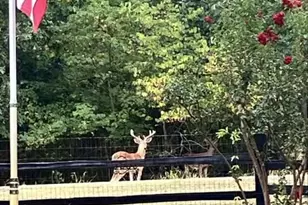 5650 Point Lavista, Malakoff, TX 75148 - Photo 3