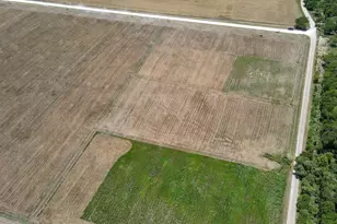 9125 County Rd 101A, Grandview, TX 76050 - Photo 1