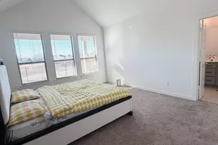 2817 Riverview Rd, Celina, TX 75009 - Photo 15