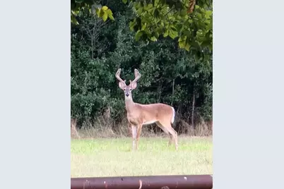 467 Wilderness Trail, Royse City, TX 75189 - Photo 3