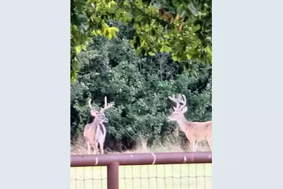 467 Wilderness Trail, Royse City, TX 75189 - Photo 5