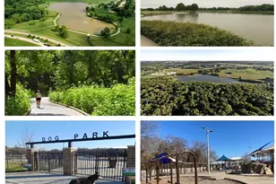 3508 Birchwood Ln, Plano, TX 75074 - Photo 35