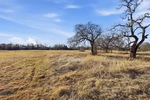 231 Julian Ln, Poolville, TX 76487 - Photo 29