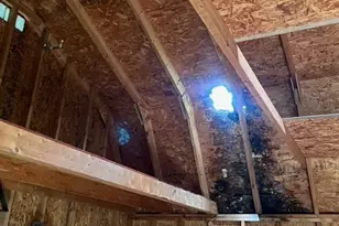 1626 Conner Dr, Dallas, TX 75217 - Photo 19