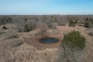 14053 SE Cr 4112, Kerens, TX 75144 - Photo 1