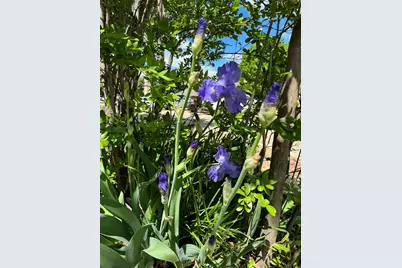 3400 Ambassador Row, Dalworthington Gardens, TX 76013 - Photo 25