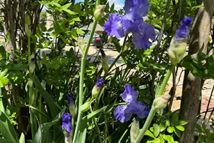 3400 Ambassador Row, Pantego, TX 76013 - Photo 25