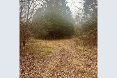 Tbd County Road 4574 #13743, Sulphur Springs, TX 75482 - Photo 3