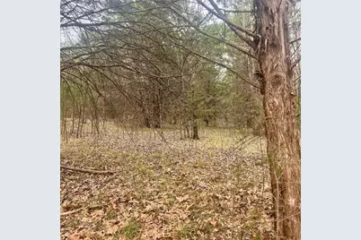 Tbd County Road 4574 #13743, Sulphur Springs, TX 75482 - Photo 11