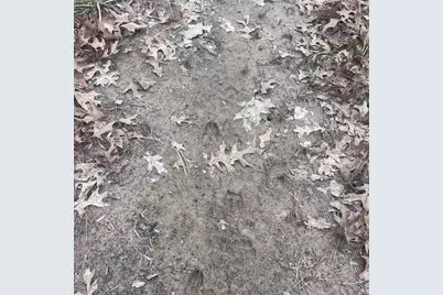 Tbd County Road 4574 #13743, Sulphur Springs, TX 75482 - Photo 13