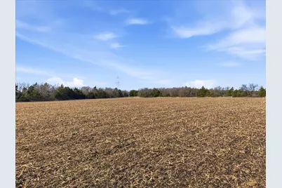 Tbd County Road 643, Nevada, TX 75173 - Photo 7