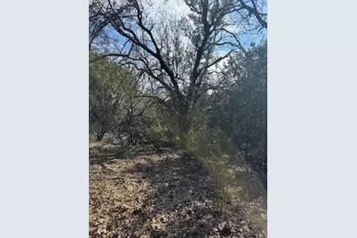 21039 Shady Oak Court, Whitney, TX 76692 - Photo 1