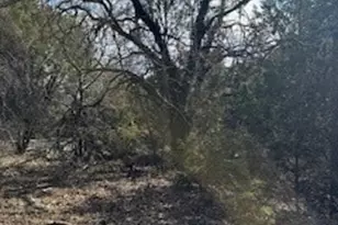 21039 Shady Oak Ct, Whitney, TX 76692 - Photo 1