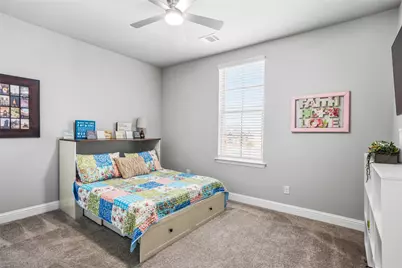 8597 Amethyst Lane, Frisco, TX 75036 - Photo 19