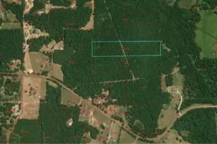 Fm 1649 Fm 1649, Gilmer, TX 75645 - Photo 1