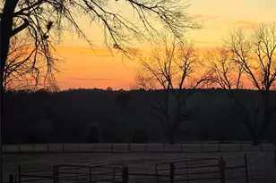 20086 County Rd 299, Arp, TX 75750 - Photo 1