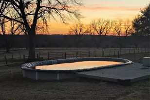 20086 County Rd 299, Arp, TX 75750 - Photo 5