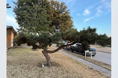 429 Hardwood Trail, Mesquite, TX 75150 - Photo 3