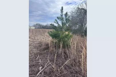 Tbd Cr 4402, LaRue, TX 75770 - Photo 5