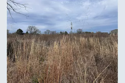 Tbd Cr 4402, LaRue, TX 75770 - Photo 3