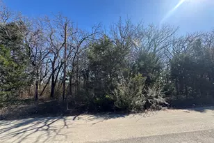 2100 Royal Oaks Dr, Dallas, TX 75253 - Photo 1