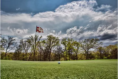 Tbd Pine Hills Lane, Gordonville, TX 76245 - Photo 5