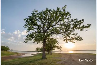 Tbd Pine Hills Lane, Gordonville, TX 76245 - Photo 9