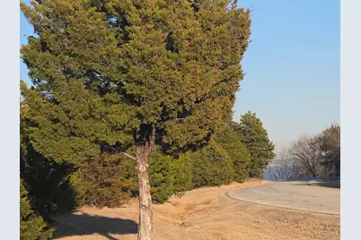 Tbd Pine Hills Lane, Gordonville, TX 76245 - Photo 3